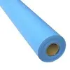 0.61 Wide x 10m Roll of Light Blue 2LBM
