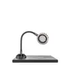 Gooseneck 30cm LED Spot-Lite With Screw Down Base