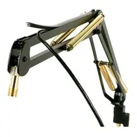 Mic Arm - 736mm / 29''